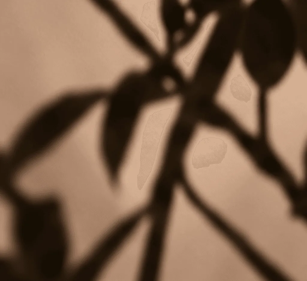 Abstract botanical shadow